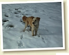 SOE im Schnee